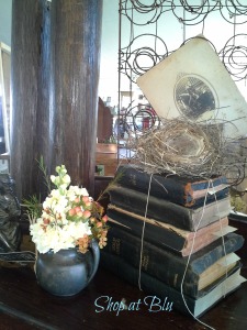 shopatblu Littleville Blue