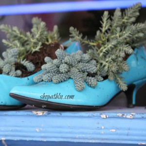 shopatblu the blue building succulent shoes