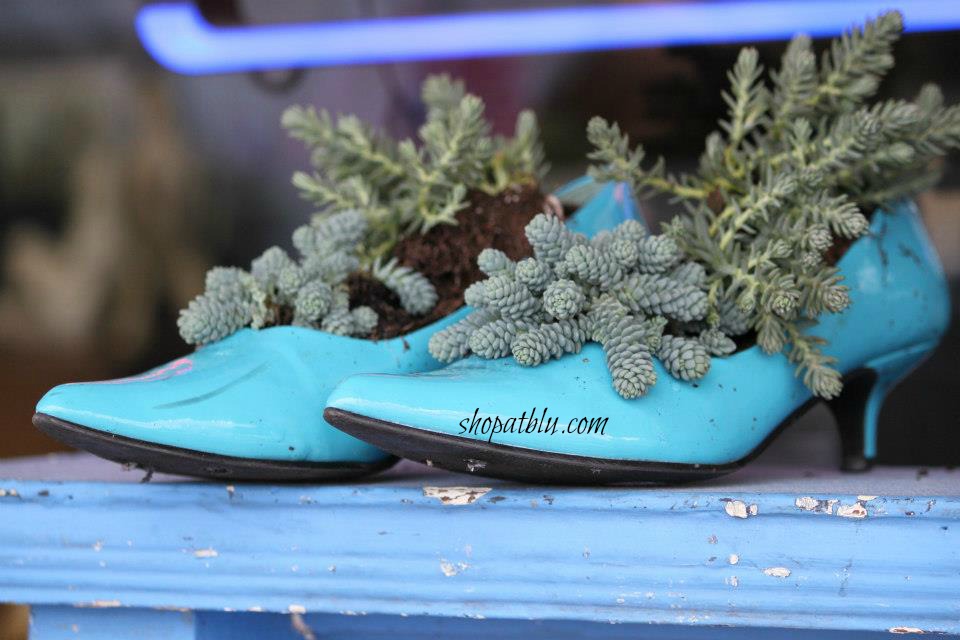 shopatblu succulent shoes