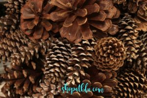 shopatblu pinecones
