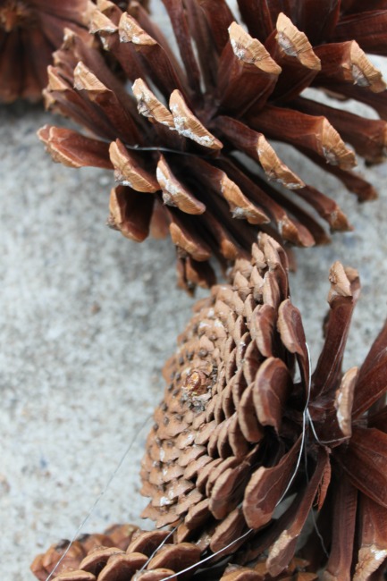 the-blue-building-shopatblu-pinescones-home-decor-pinecones-connected