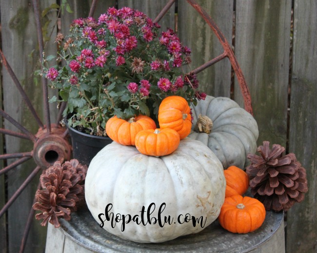 the-blue-building-shopatblu-pinescones-home-decor-pumpkins