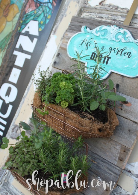 The Blue Building Antiques Alabaster AL fresh herb wall garden