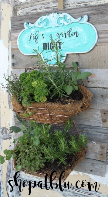 The Blue Building Antiques Alabaster AL fresh herb garden