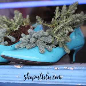 shopatblu spring succulent planters blue heeled shoes