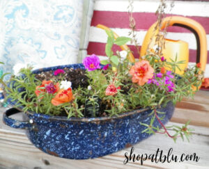 shopatblu spring succulent planters enamel roasting pan