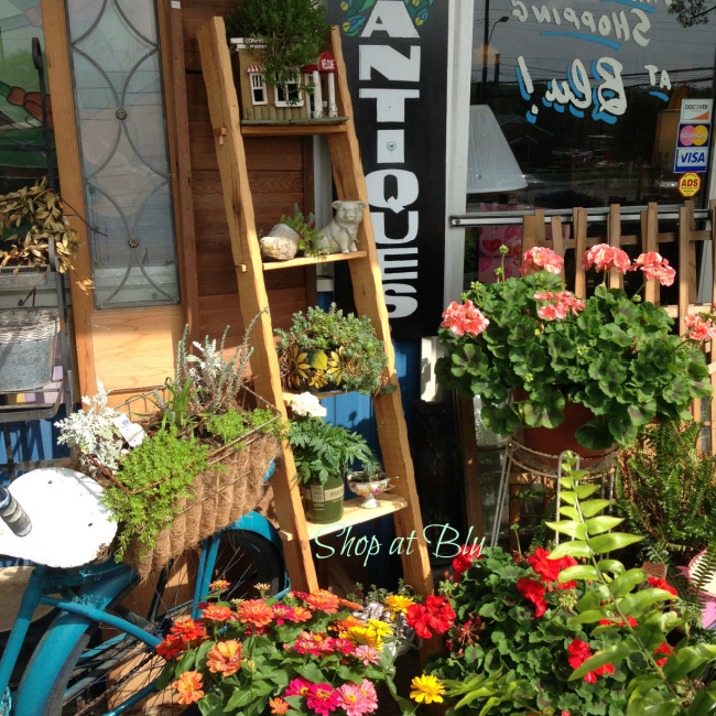 The Blue Building Antiques Shopatblu vintage bicycle entryway