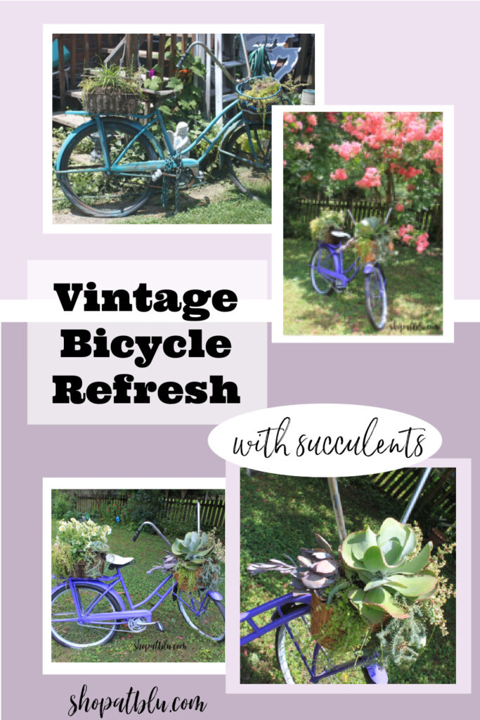shopatblu vintage bicycle refresh with succulents
