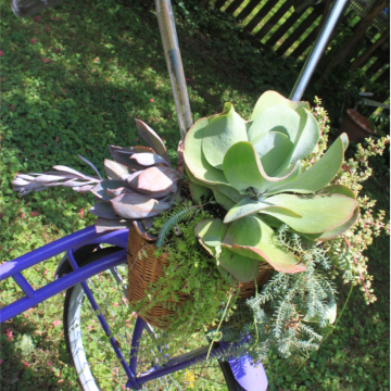 The Blue Building Antiques Shopatblu Vintage Bicycle Upcycle bike baskets