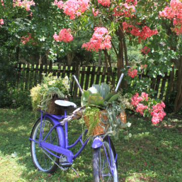 The Blue Building Antiques Shopatblu Vintage Bicycle Upcycle yard