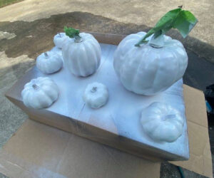 The Blue Building Antiques Shopatblu customized pumpkins with hyrdo dip white