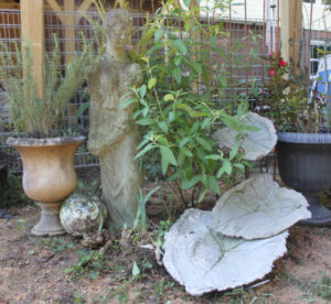 The Blue Building Antiques Shopatblu Concrete Leaves garden