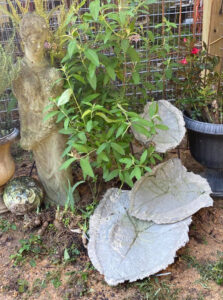 The Blue Building Antiques Shopatblu Concrete Leaves garden decor