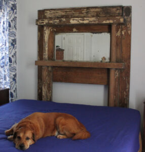 the blue building antiques shop at blu antique mantle tiger oak