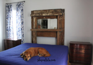 the blue building antiques shop at blu antique two chests refresh