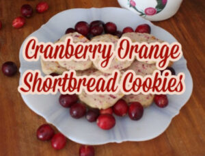 The Blue Building Antiques Shopatblu cranberry orange shortbread cookie graphic