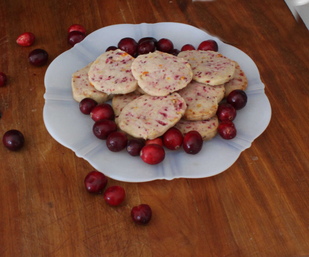 The Blue Building Antiques Shopatblu cranberry orange cookies plate