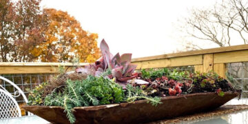 The Blue Building Antiques Shopatblu dough bowls succulents