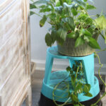 The Blue Building Antiques Shopatblu upcycled library stool plant holder