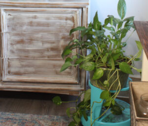 The Blue Building Antiques Shopatblu upcycled library stool greens