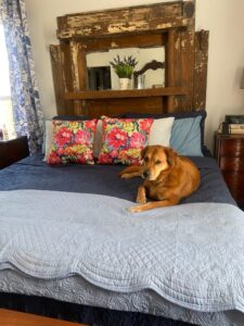 shopatblue bedroom spring pillows