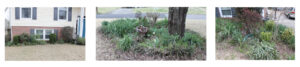 Shopatblu Spring yard garden YARD READY