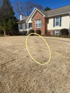 Shopatblu Spring yard gullies YARD READY