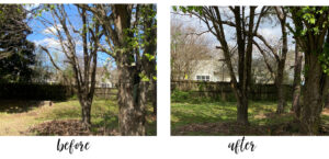 shopatblu the blue building antiques corner garden trees