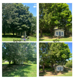 shopatblu the blue building antiques trim trees ryobi shed after