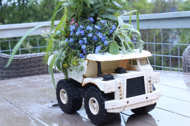 Old Coffee Pot Upcycled As A Flower Pot - Organized Clutter