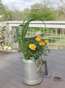 shopatblu the blue building antiques garden coffee pot planter