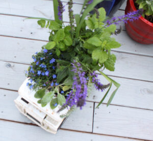 shopatblu the blue building antiques garden truck planter