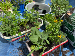 shopatblu the blue building antiques vertical herb garden herbs