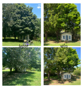 shopatblu the blue building antiques trim trees ryobi rear yard befor and after