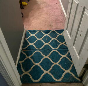 shopatblu office rugs