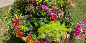 shopatblu decorate porch wheel barrow flowers