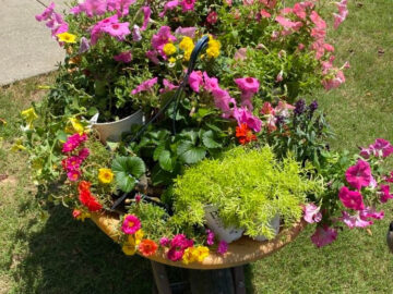 shopatblu decorate porch wheel barrow flowers