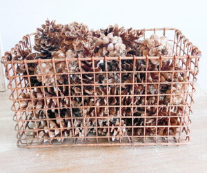 shopatblu prep pinecones for crafts and diy projects basket