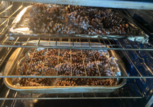 shopatblu prep pinecones for crafts and diy projects oven baked