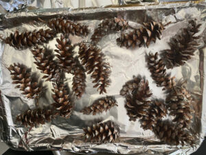 shopatblu prep pinecones for crafts and diy projects single layer