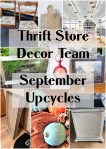 shopatblu-tsdt-september-team