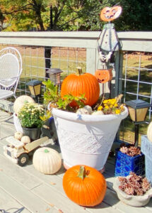 shopatblu fall outdoor decor mums truck