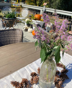 shopatblu fall outdoor decor butterfly blooms
