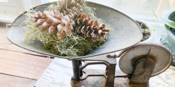 shopatblu pinecone prep antique scale