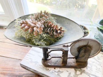 shopatblu pinecone prep antique scale