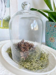 shopatblu pinecone prep cloche and ironstoen