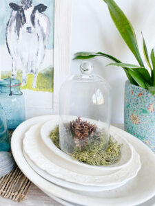 shopatblu pinecone prep cloche