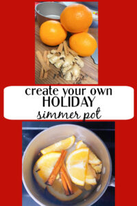 shopatblu simmer pot pin