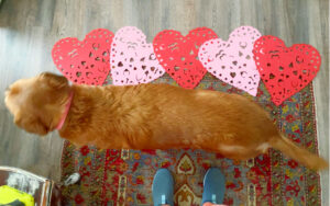 shopatblu valentine heart decor mantle decor design