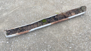 shopatblu planting succulent garden decor and tips galvanized feeder